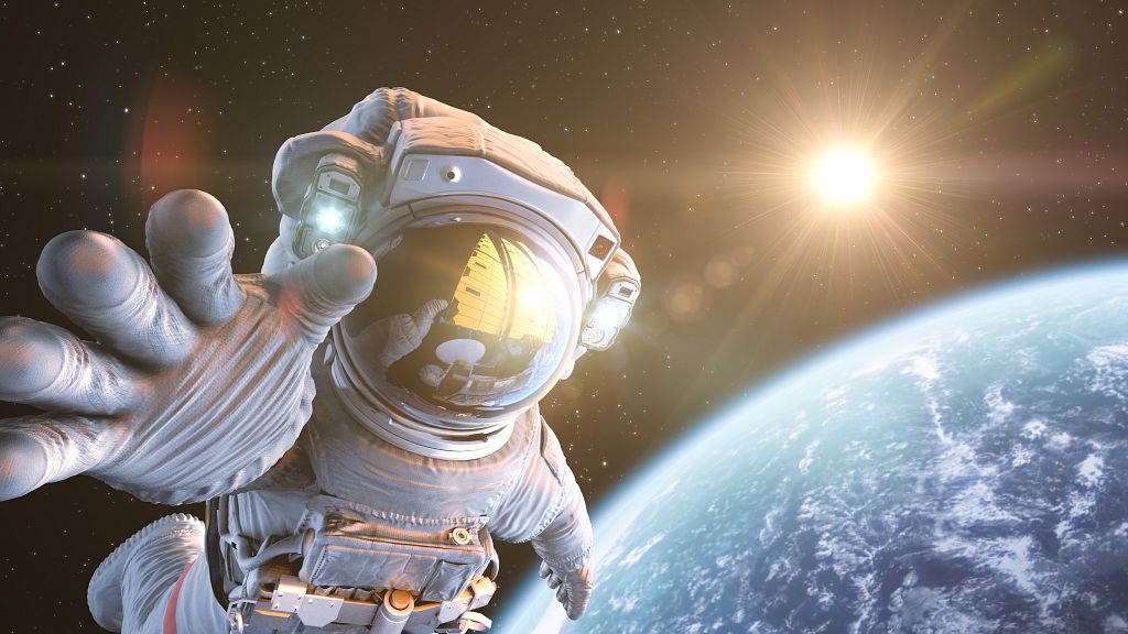 The Purpose of Astronauts