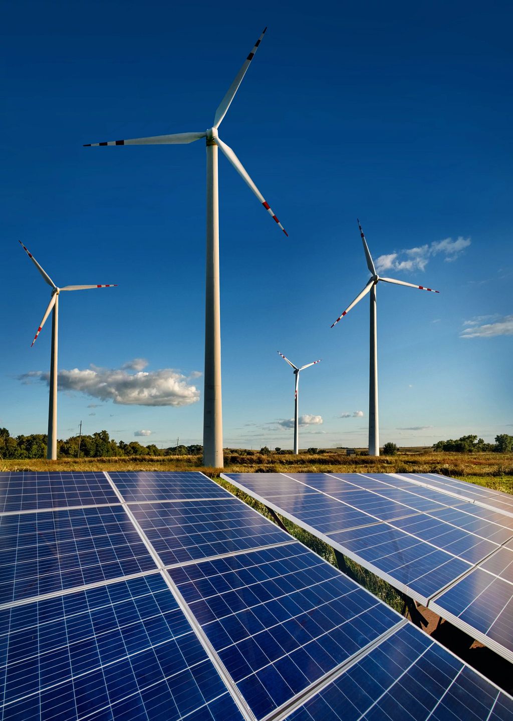 The Business Case for the Energy Transition