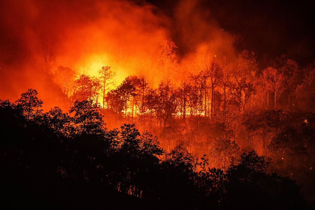 Droughts, Floods and Wildfires: Preparing for the Resilience Era