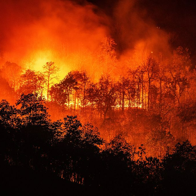Droughts, Floods and Wildfires: Preparing for the Resilience Era