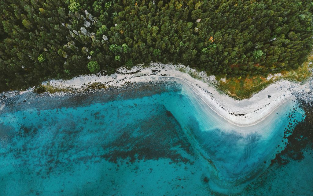 Reviving Earth: Mobilizing for a Restored World
