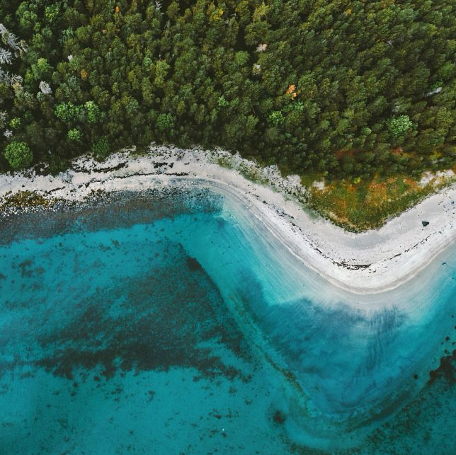 Reviving Earth: Mobilizing for a Restored World