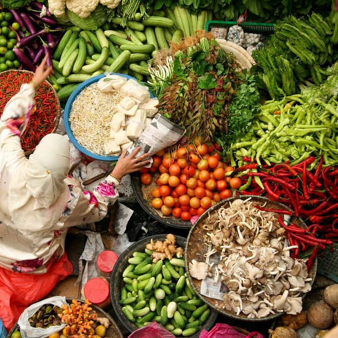 Food and Water for All