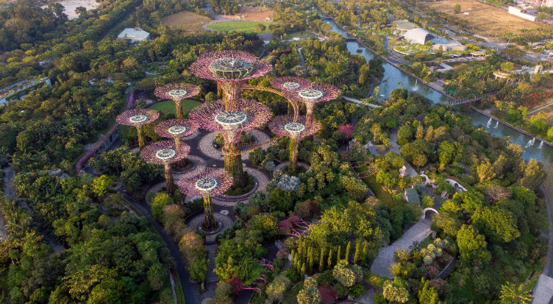 Chief Sustainability Leaders: Pioneering AI for Climate Solutions