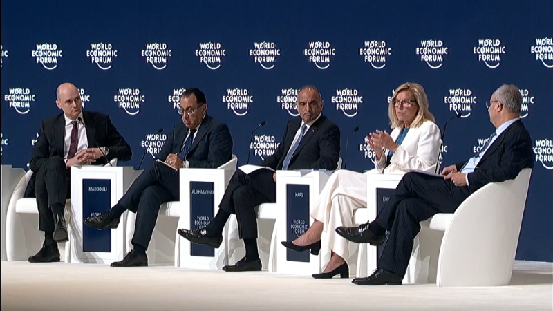Briefing on the Gaza Crisis