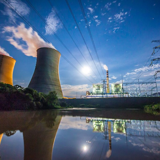 The Role of New Nuclear