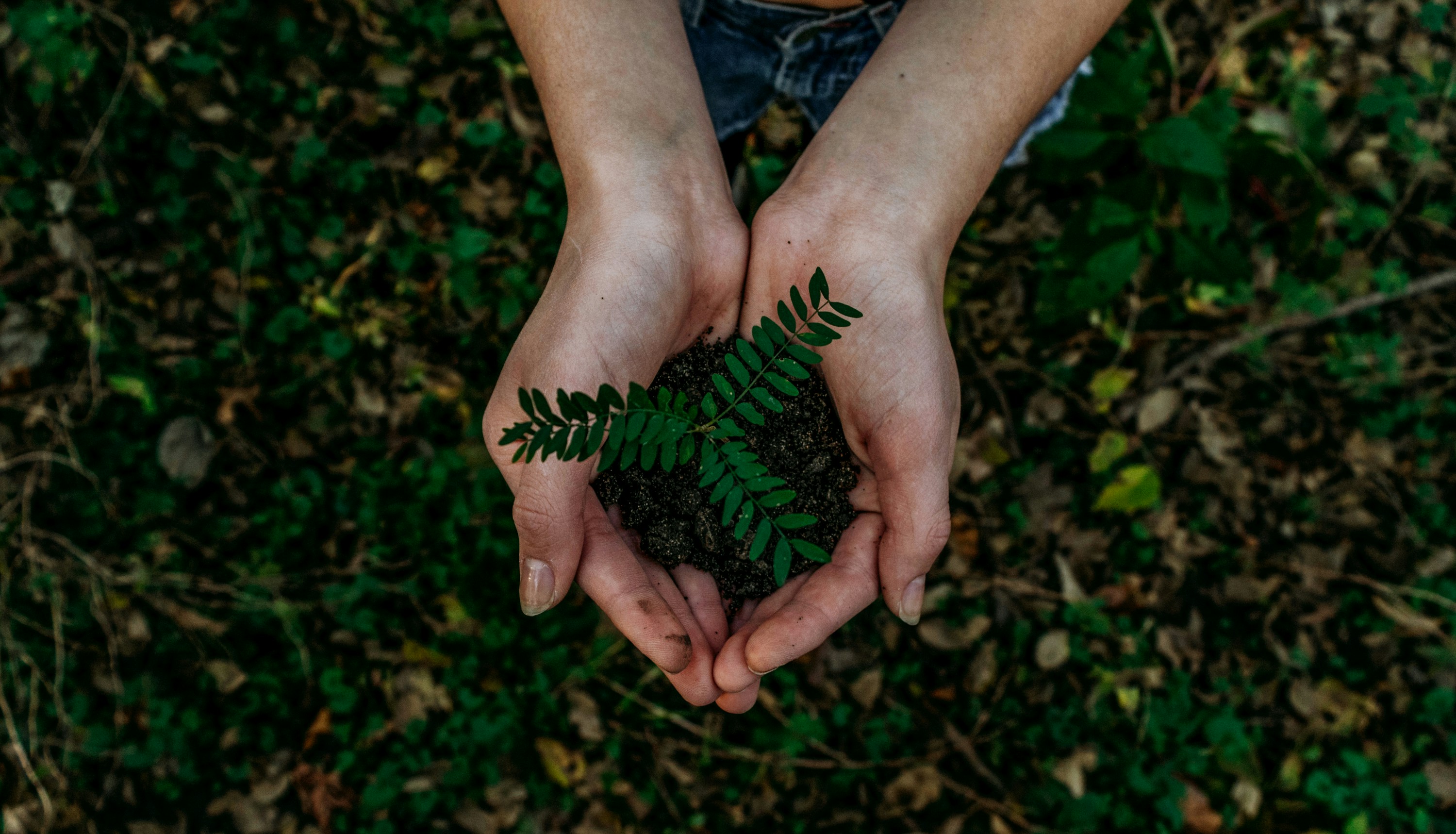 Open Forum: Advancing the Global Sustainability Agenda