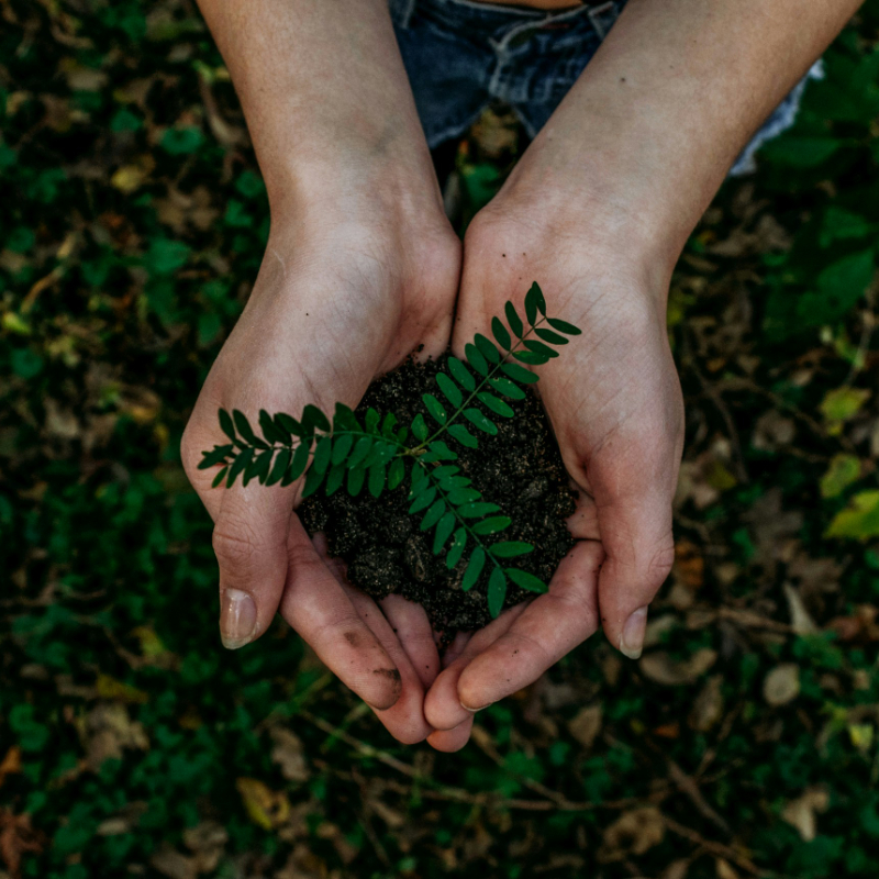 Open Forum: Advancing the Global Sustainability Agenda