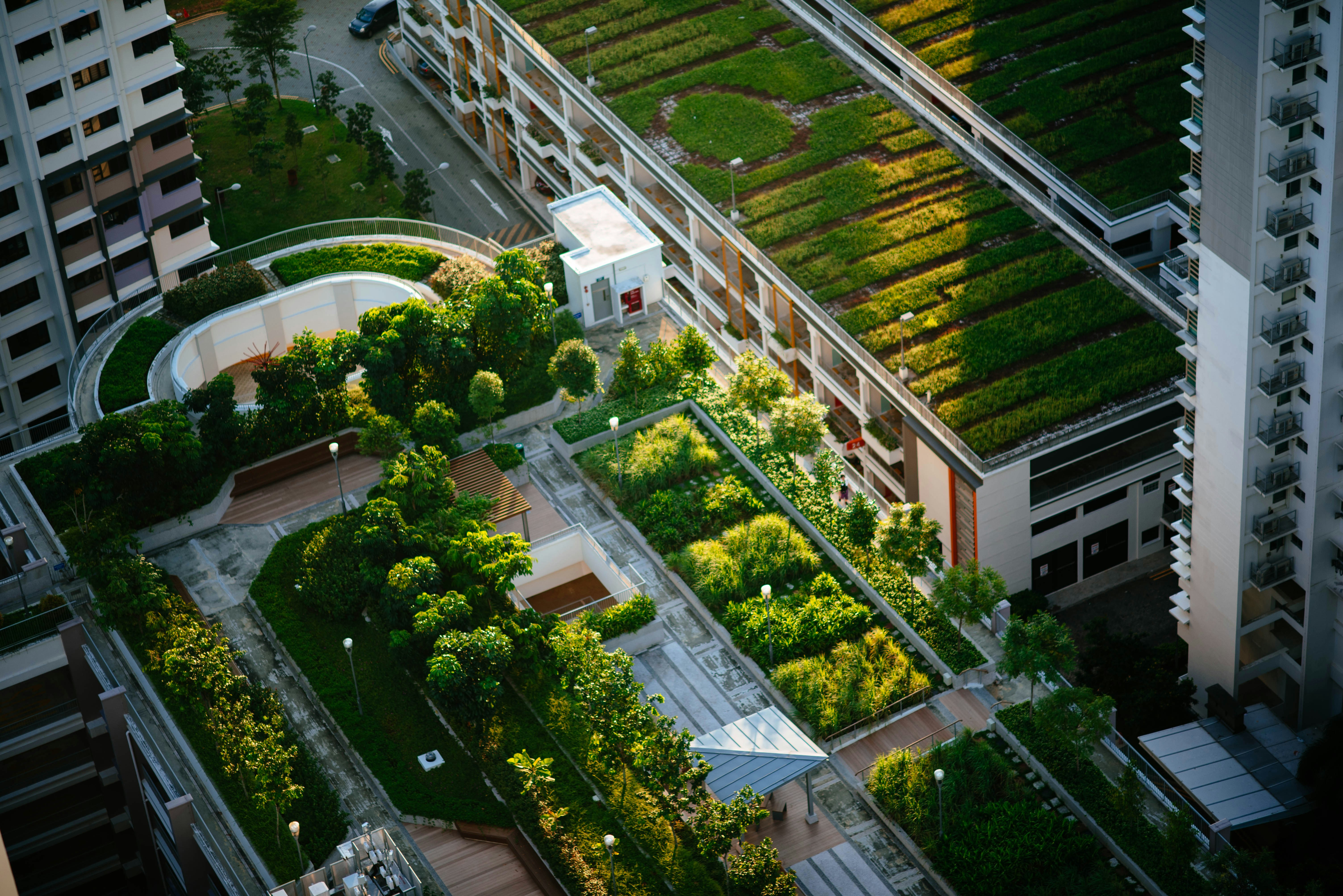 Affordable and Effective Urban Action