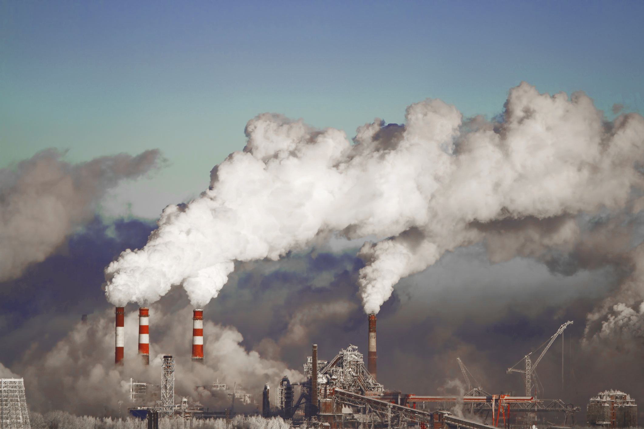 Unlocking Climate Leadership in a Competitive World