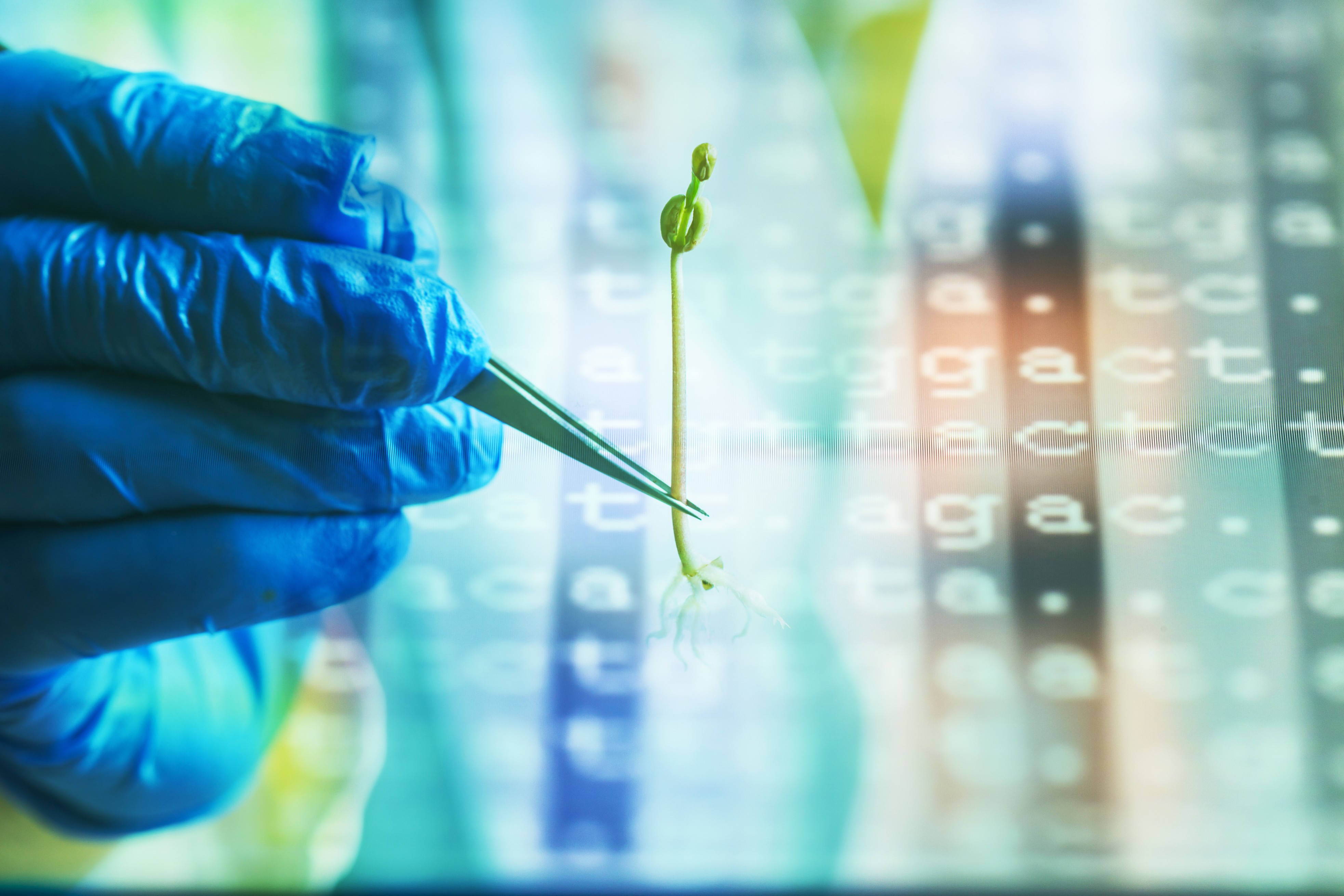 Letting Biotech Breathe