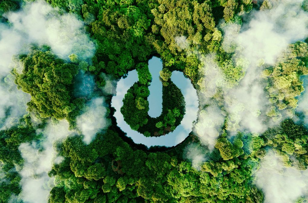 Business Nature Strategy: The Roadmap for Chief Sustainability Officers