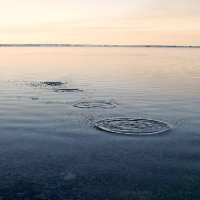 Mind Matters: Addressing Mental Well-Being