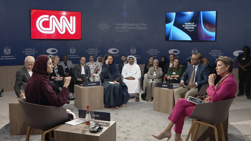 UAE: The Next Decade
