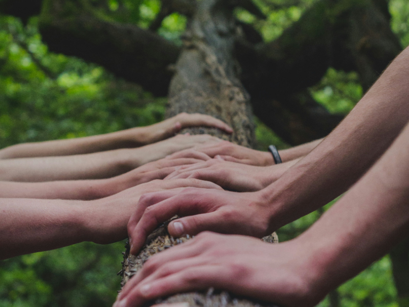 Leading Sustainable Businesses