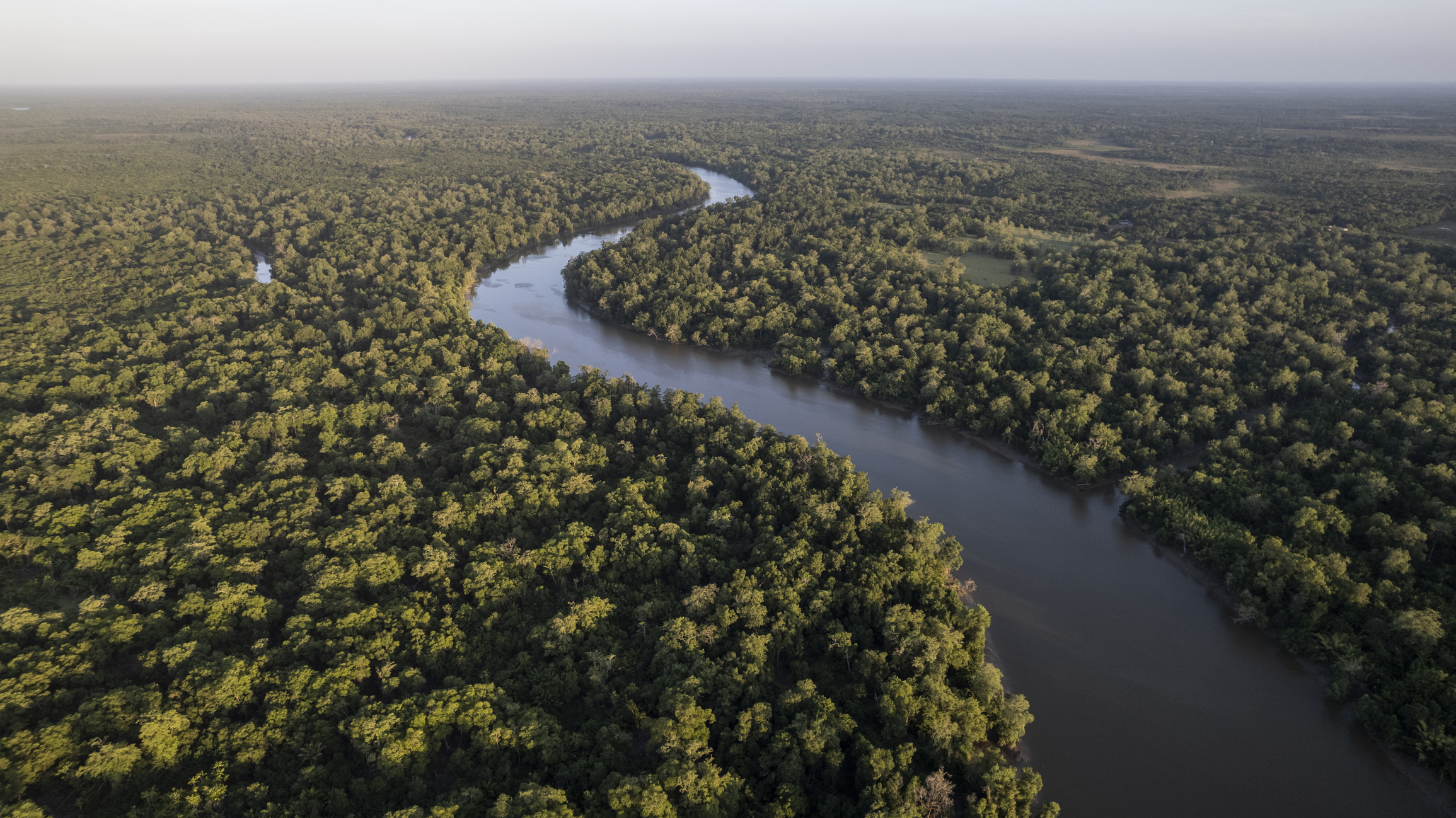 Open Forum: Making the Case for Nature