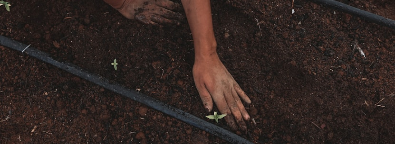 On Firmer Ground with Land Restoration