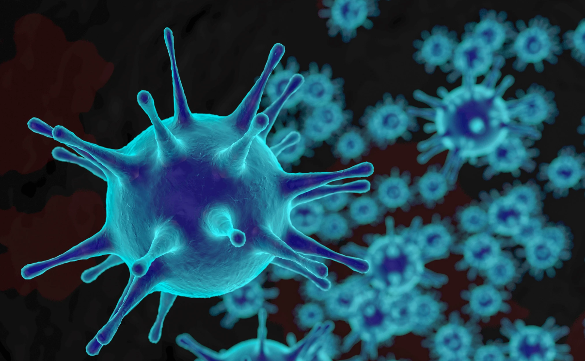 Action on Antimicrobial Resistance