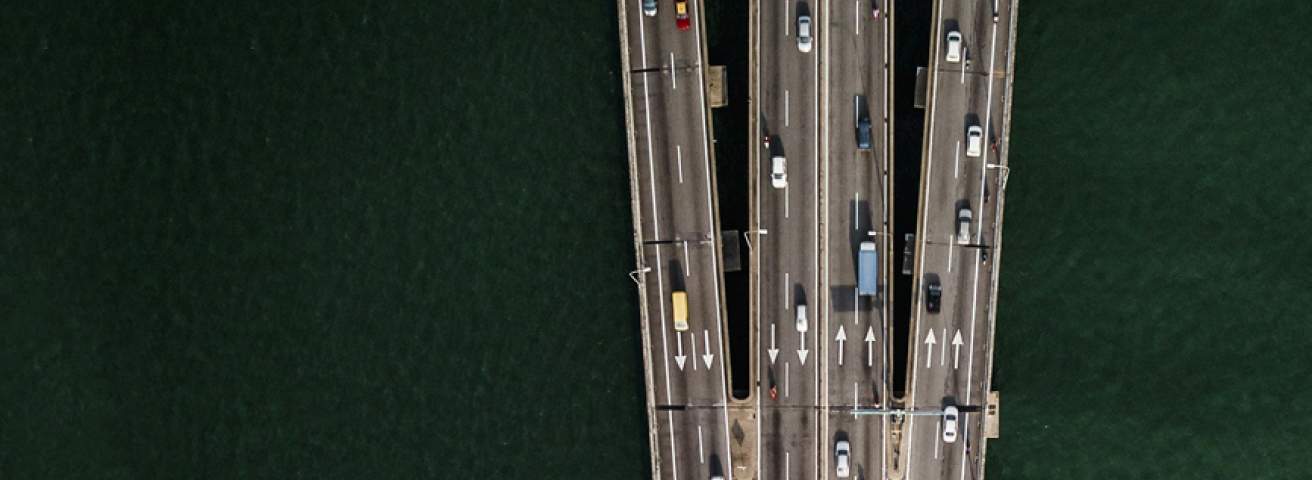 Chief Economists' Briefing: What to Expect in 2025?