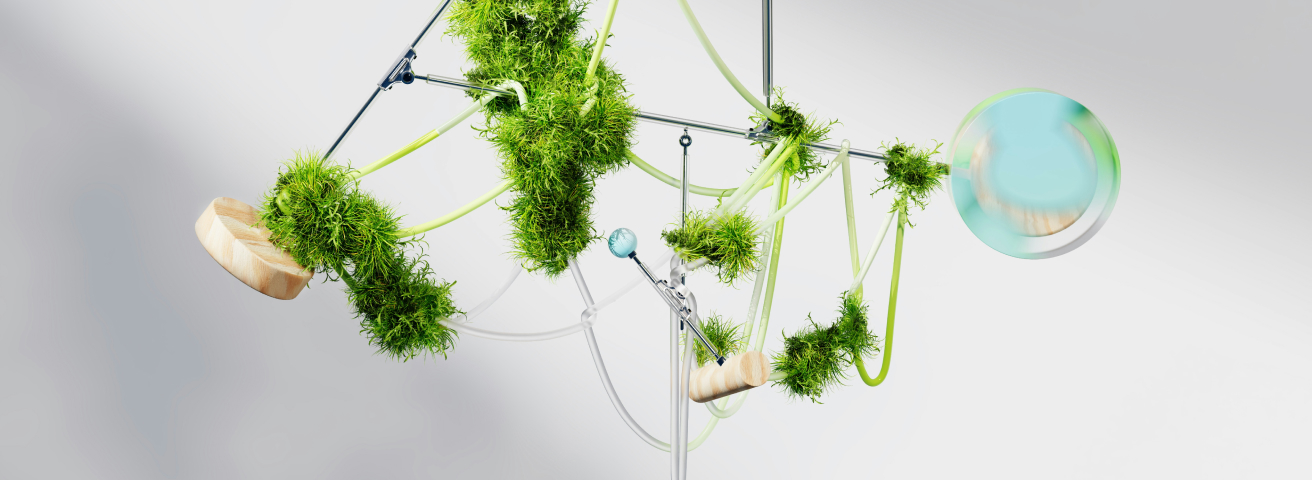 Green Ambitions, Real Trade-Offs