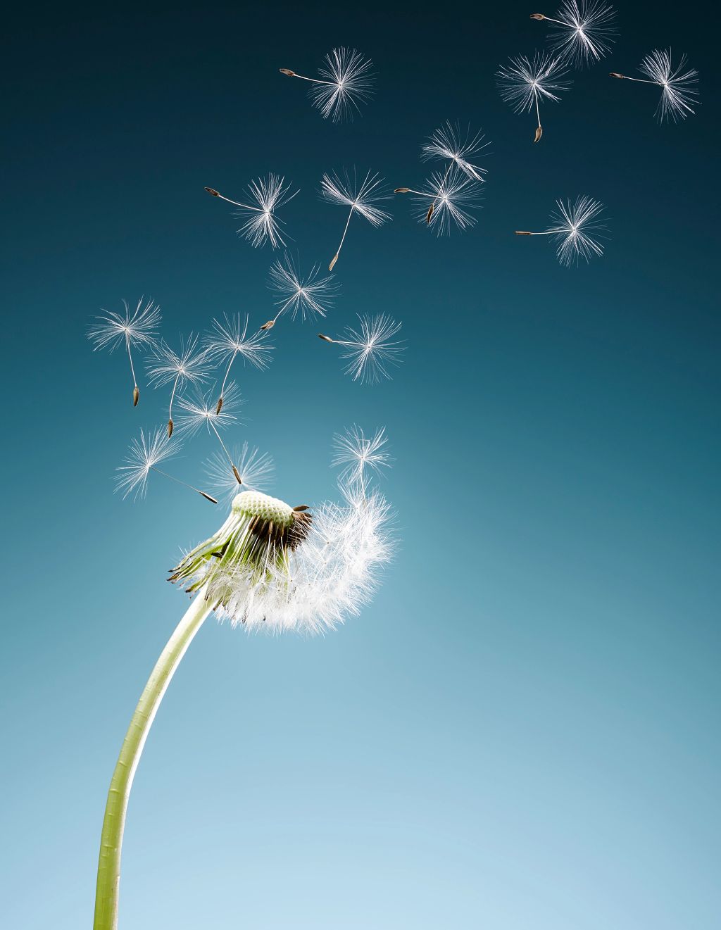 Growth: A History and a Reckoning