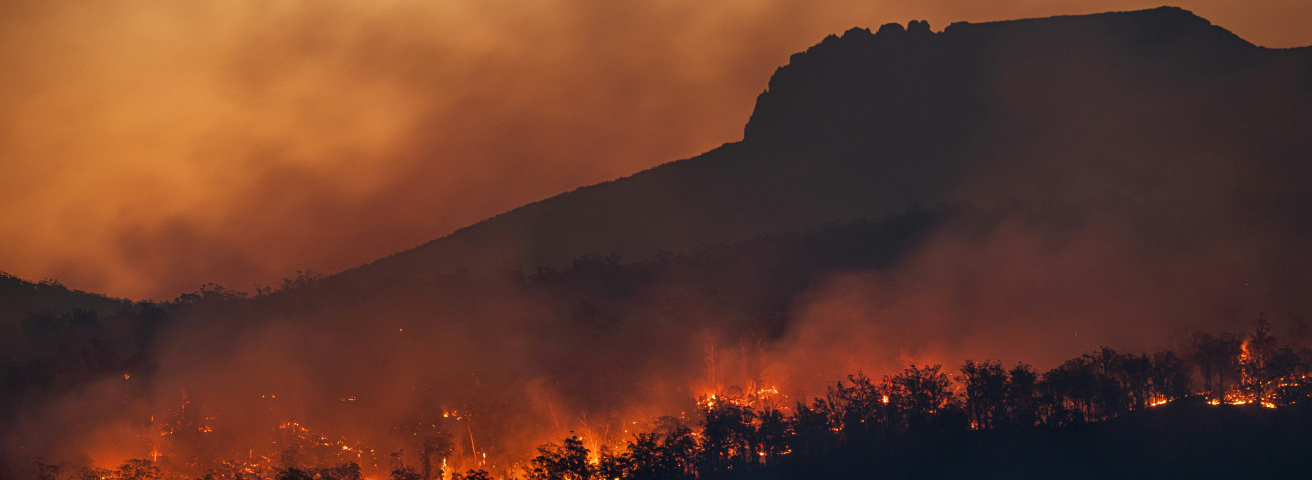 Nature and Climate: A Stocktake