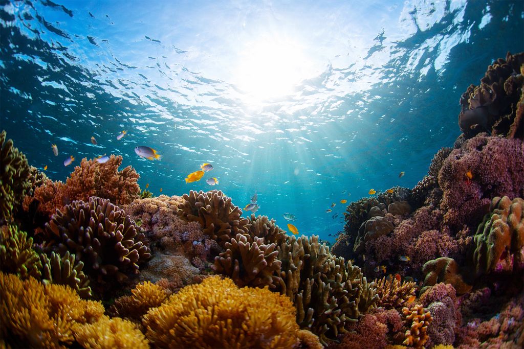 Mapping Solutions for: Natural Habitats