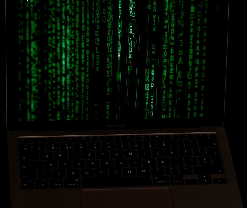 Beneath the Surface: The Economic Dimension of Cybersecurity