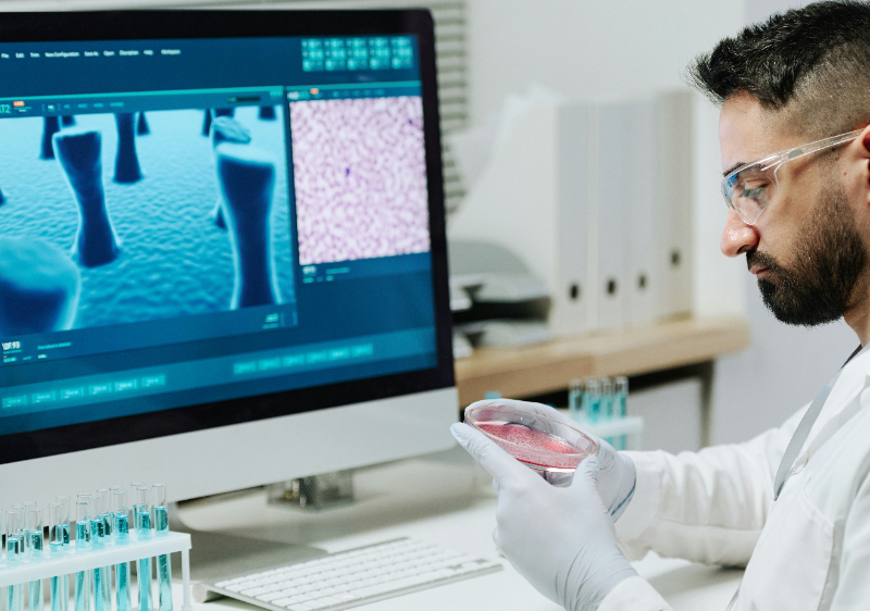 Hybrid Healthcare: The Next Frontier in Health Systems