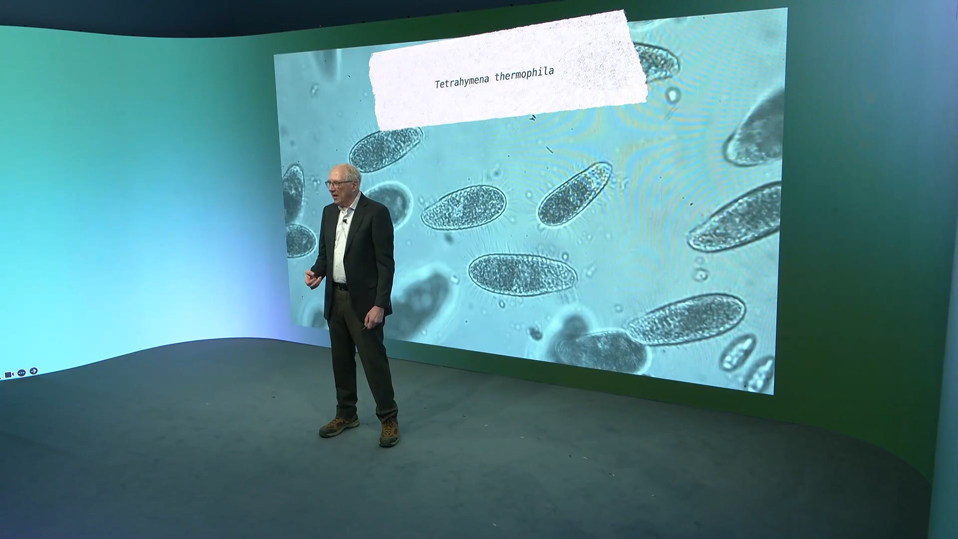 RNA, Why it is still a Big Deal