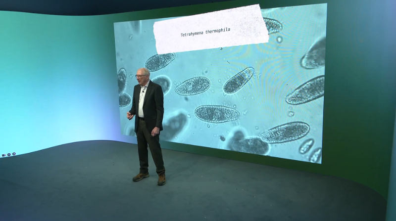 RNA, Why it is still a Big Deal