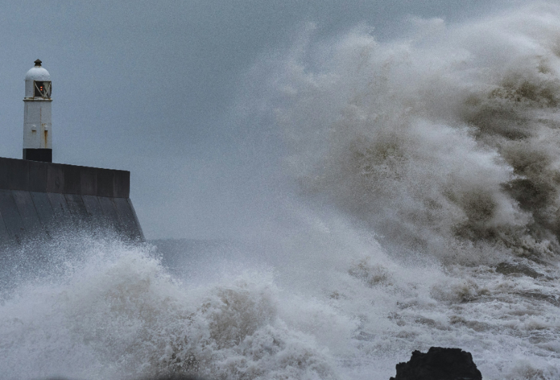 Deciding Under Disruption: Turning Foresight into Action