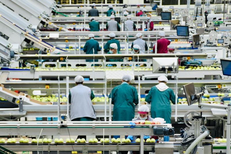 Future of Labor in an AI Revolution: Navigating Industry Transformation, Workforce Planning, and the Future of Education