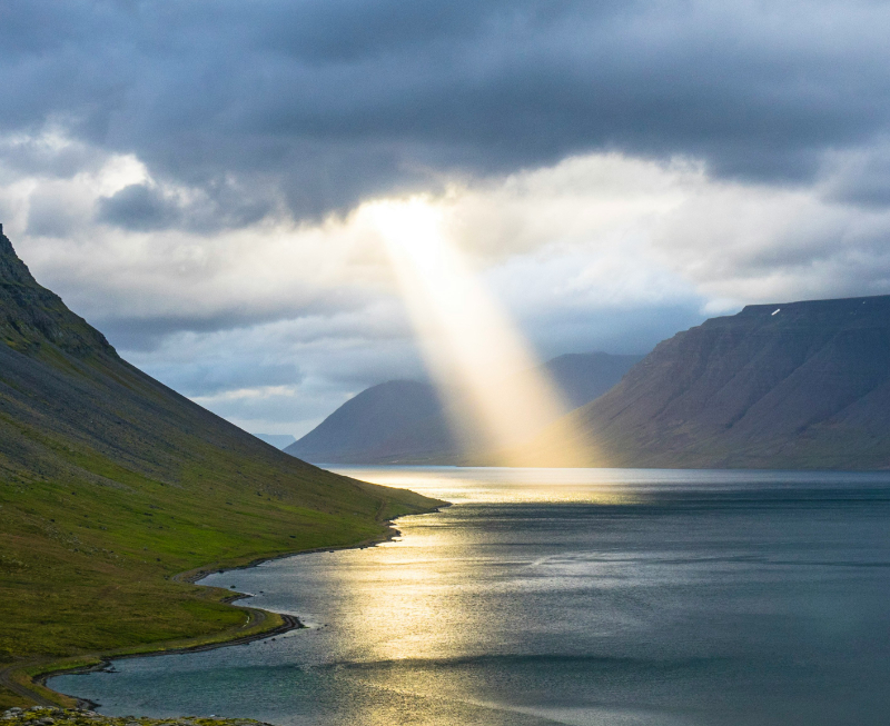 From Uncertainty to Opportunity: Building Supply Chain Resilience in a Fragmented World