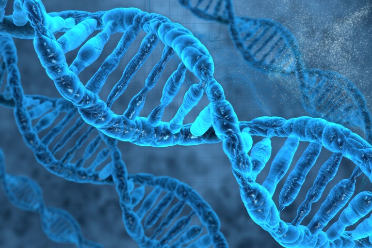 Bio-Inspired Innovation Unleashed